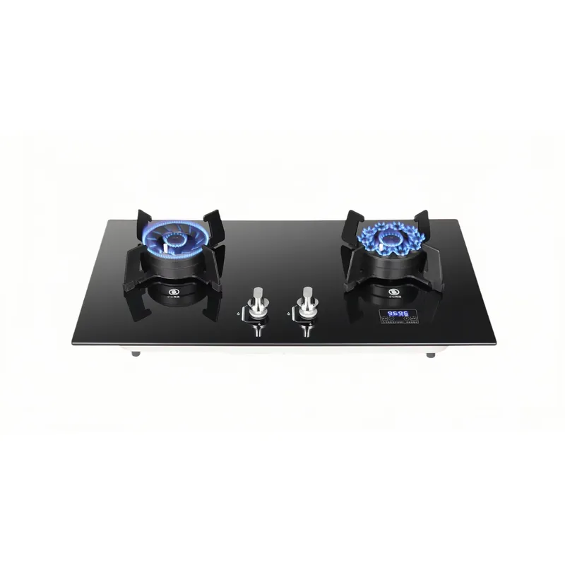 Draagbaar gasfornuis met dubbe - Camping Cooking Top recensie en prijs